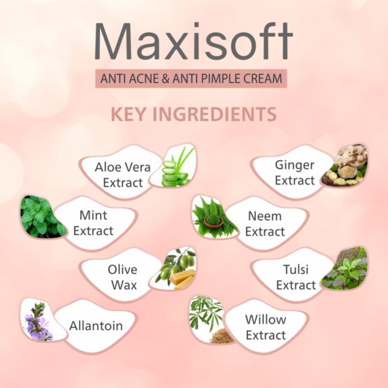 Maxisoft Anti Acne & Anti Pimple Cream Listing 05