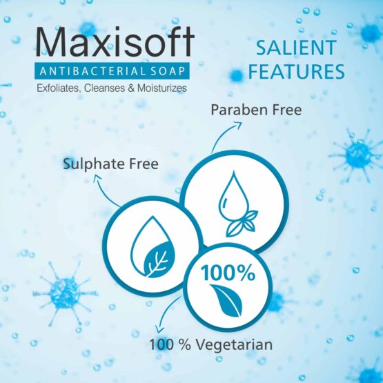 Maxisoft Antibacterial Sanitizing Soap 07