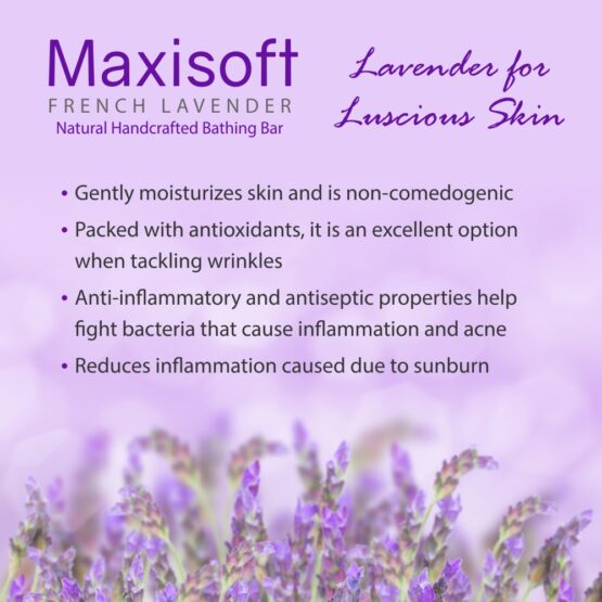 Maxisoft French Lavender Bathing Bar 75 gm 05
