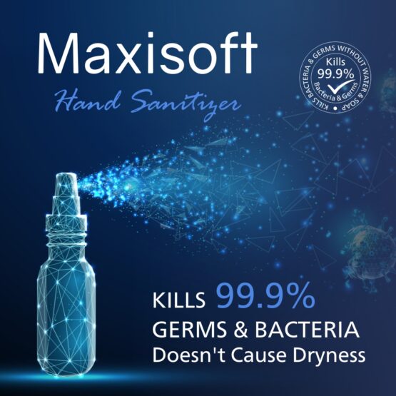 Maxisoft Hand Sanitizer Spray Fruit Basket 120ml 05