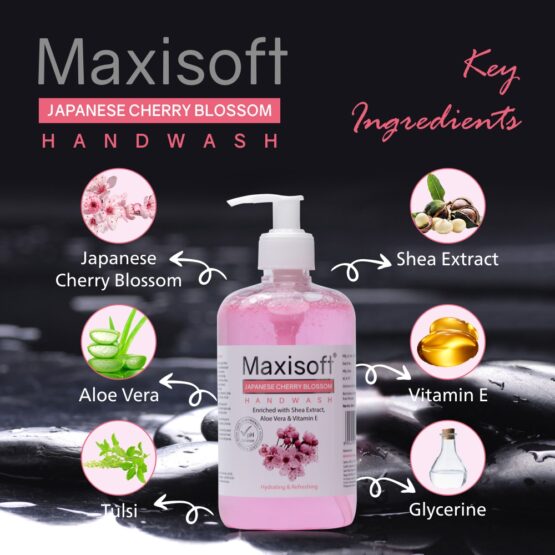 Maxisoft Japanese Cherry Blossom Hand Wash Listing 04