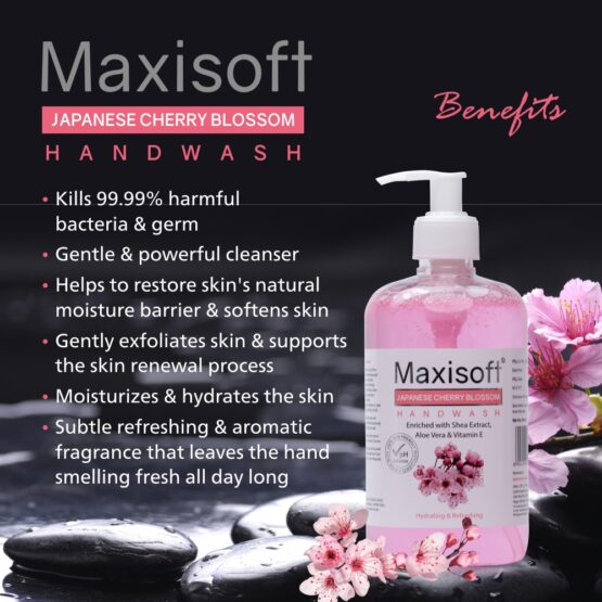 Maxisoft Japanese Cherry Blossom Hand Wash Listing 06