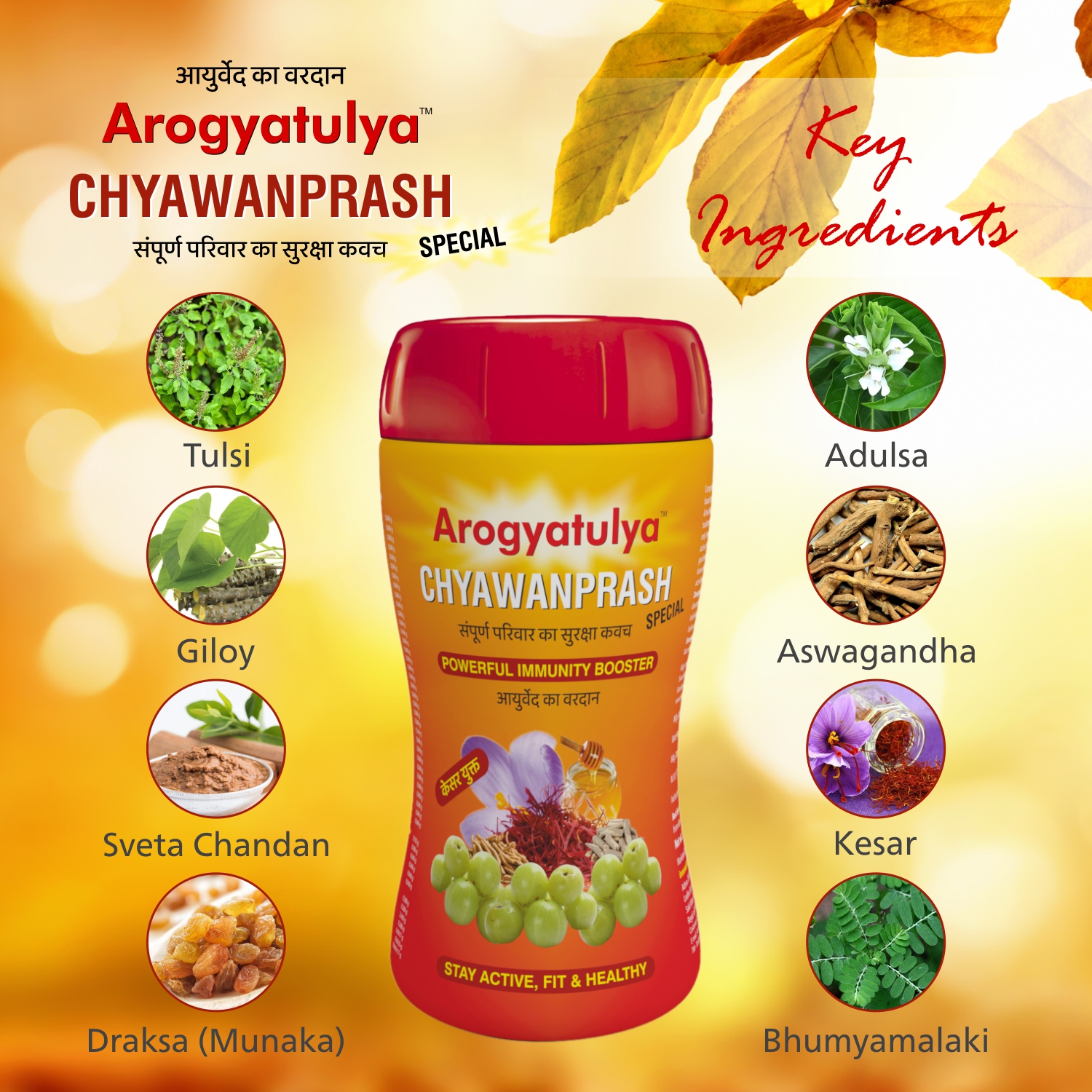 Aarogyatulya Special Chyawanprash 1 Kg - Image 3