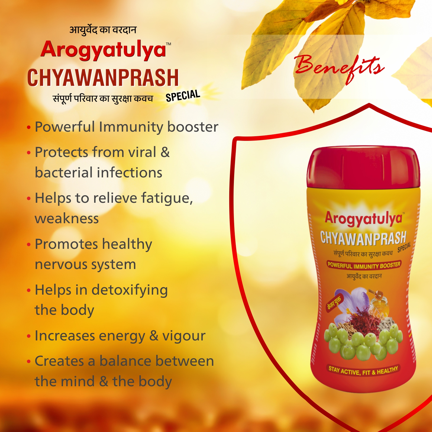 Aarogyatulya Special Chyawanprash 1 Kg - Image 4