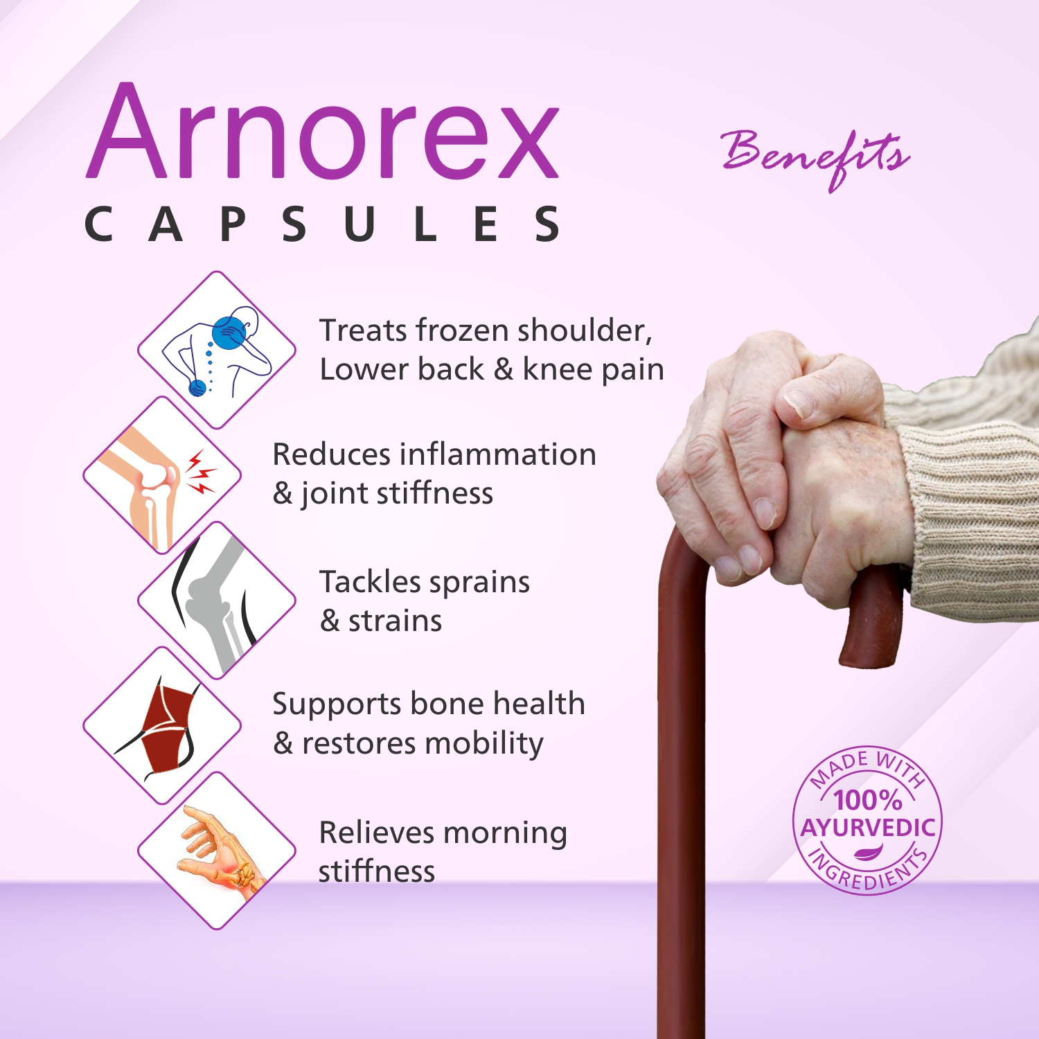 Arnorex Capsules 60 Cap - Image 4