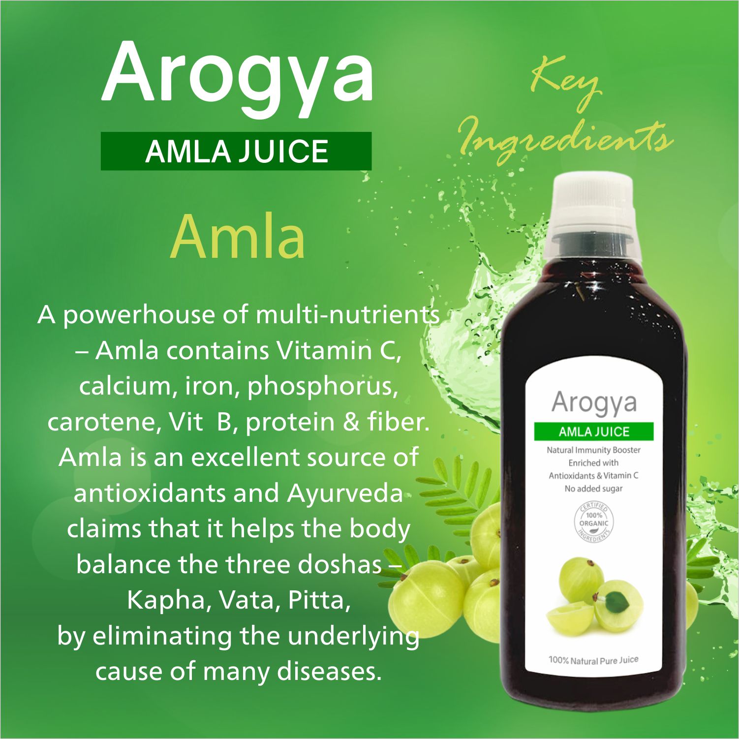 Arogya Amla Juice 1 litre - Image 3