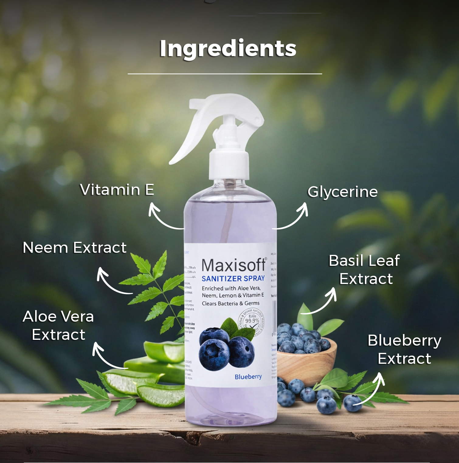Maxisoft Hand Sanitizer (Spray) Blueberry 500 ml - Image 3