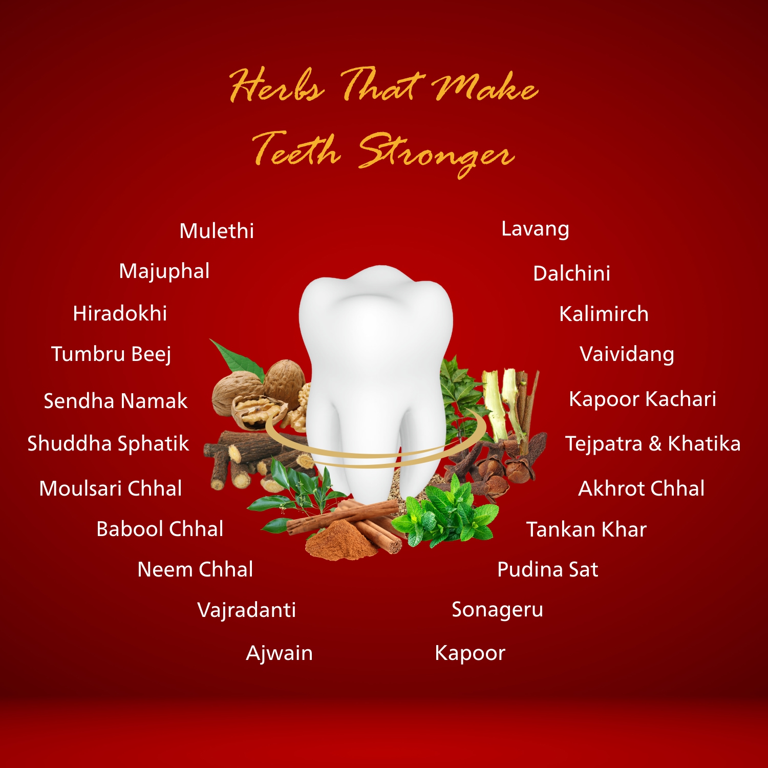 Dentopride Herbal Tooth Powder - Image 3
