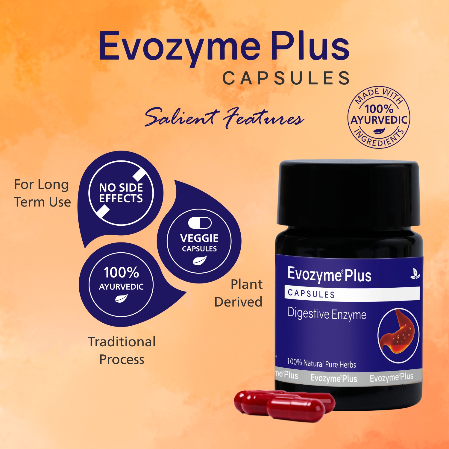 Evozyme Plus Capsules - Image 5
