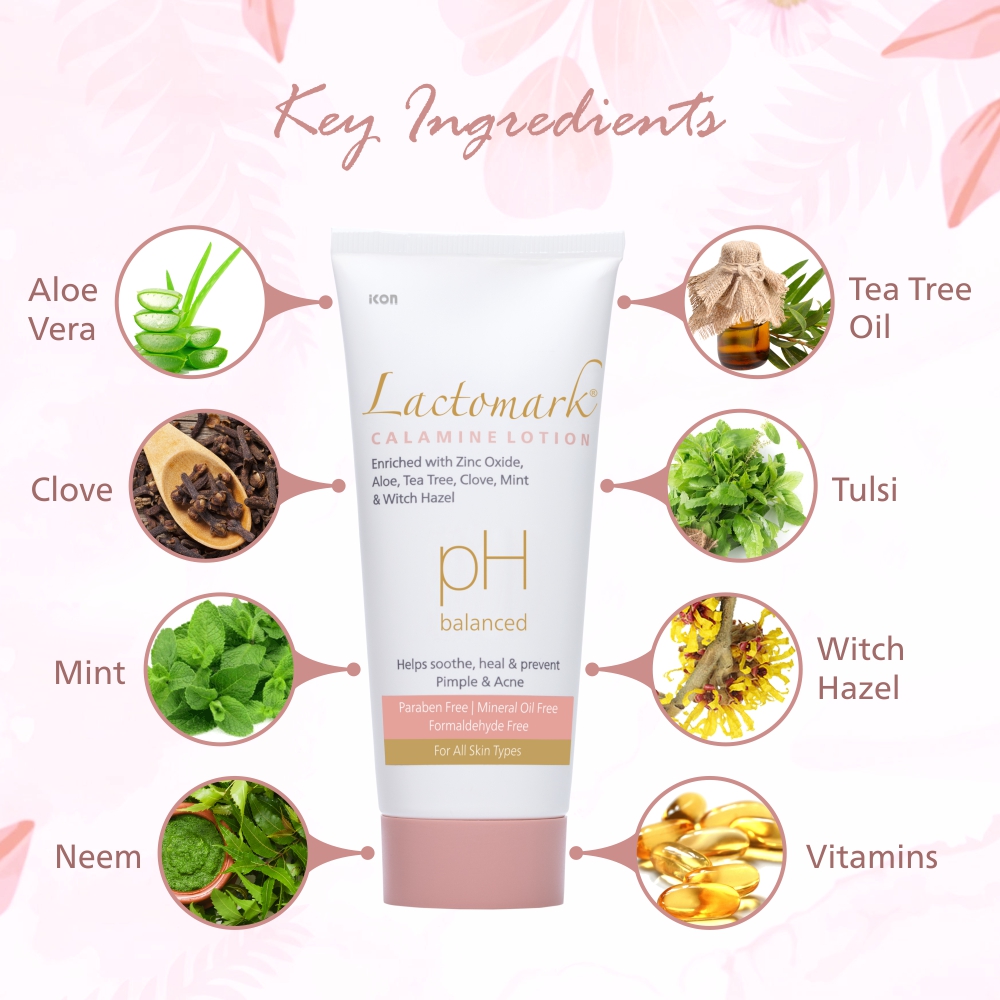 Lactozest Calamine Lotion - Image 3