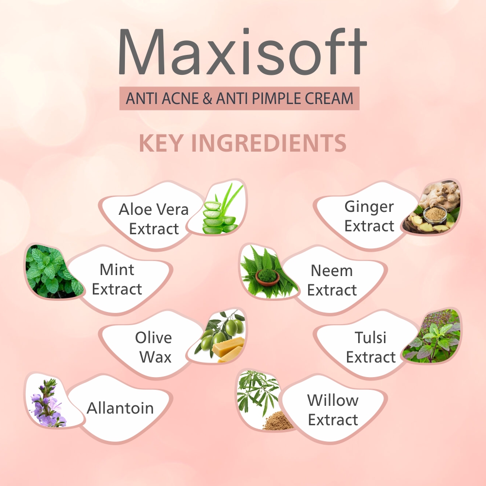 Maxisoft Antiacne & Antipimple Cream - Image 4