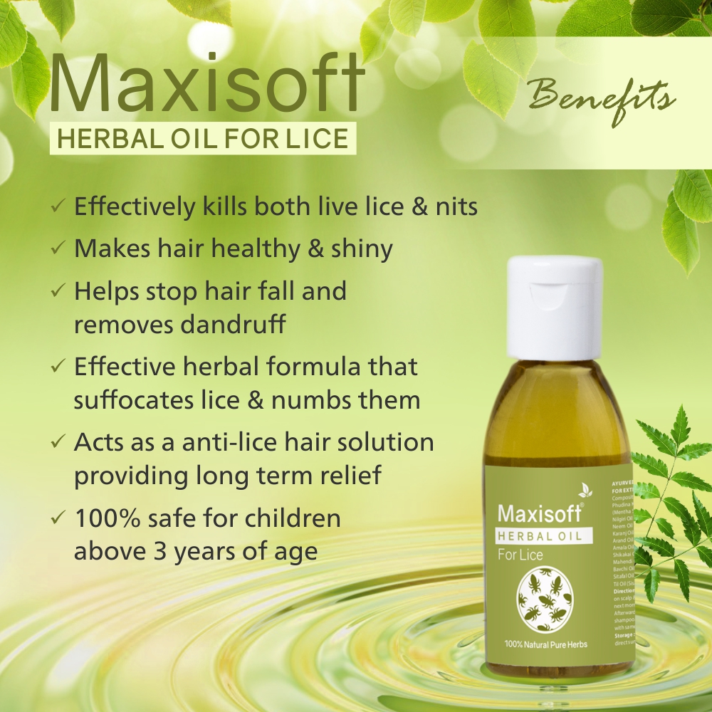 Maxisoft Anti-Lice Herbal Oil - Image 5
