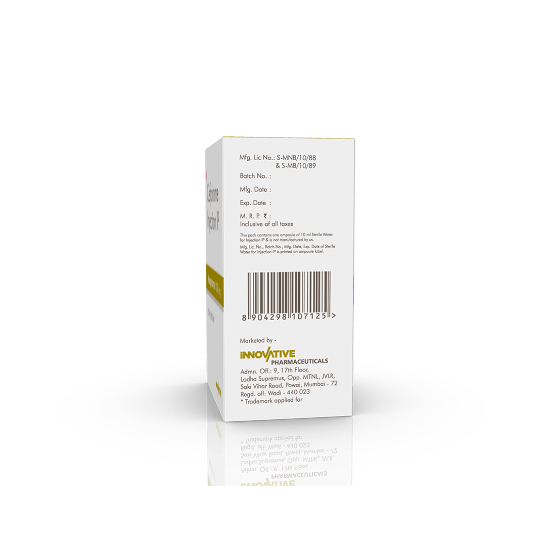 Megarome 1 gm Injection - Image 4